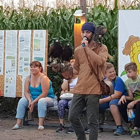 Nagyobb kép megtekintése
