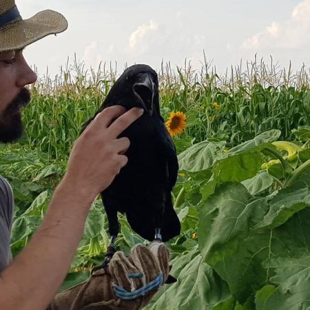 Nagyobb kép megtekintése