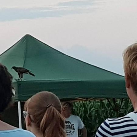 Nagyobb kép megtekintése