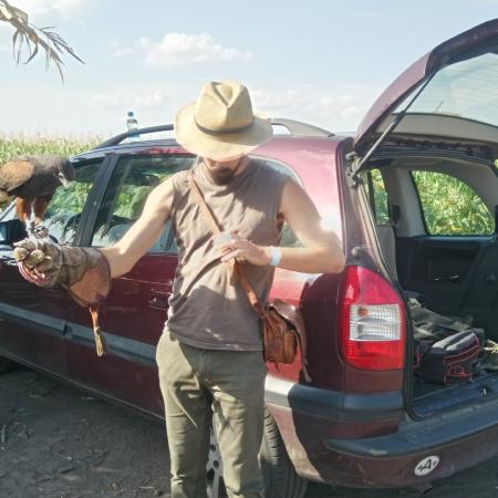 Nagyobb kép megtekintése