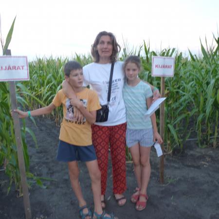 Nagyobb kép megtekintése