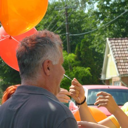Nagyobb kép megtekintése