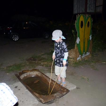 Nagyobb kép megtekintése