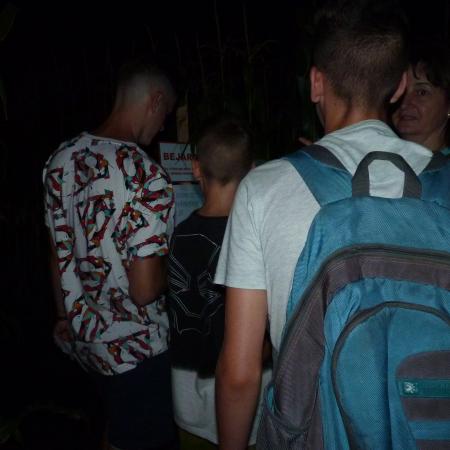 Nagyobb kép megtekintése